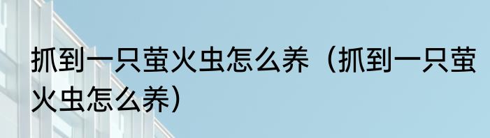抓到一只萤火虫怎么养（抓到一只萤火虫怎么养）