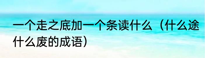 一个走之底加一个条读什么（什么途什么废的成语）