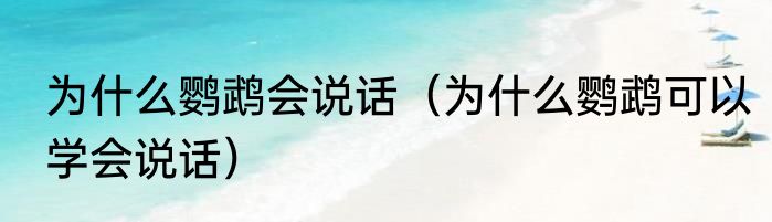 为什么鹦鹉会说话（为什么鹦鹉可以学会说话）