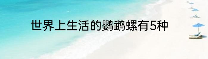 世界上生活的鹦鹉螺有5种