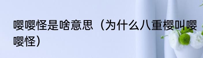 嘤嘤怪是啥意思（为什么八重樱叫嘤嘤怪）
