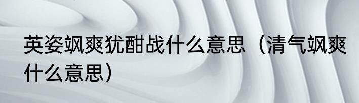 英姿飒爽犹酣战什么意思（清气飒爽什么意思）