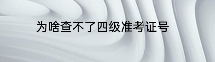 为啥查不了四级准考证号