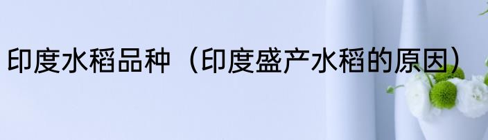 印度水稻品种（印度盛产水稻的原因）