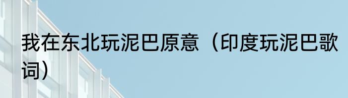 我在东北玩泥巴原意（印度玩泥巴歌词）