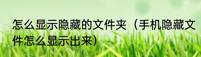 怎么显示隐藏的文件夹（手机隐藏文件怎么显示出来）