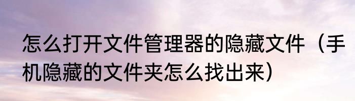 怎么打开文件管理器的隐藏文件（手机隐藏的文件夹怎么找出来）