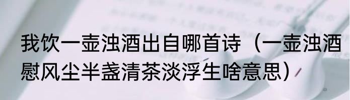 我饮一壶浊酒出自哪首诗（一壶浊酒慰风尘半盏清茶淡浮生啥意思）