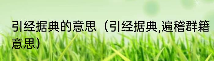 引经据典的意思（引经据典,遍稽群籍意思）