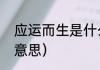 应运而生是什么意思（应运而生什么意思）