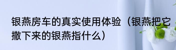 银燕房车的真实使用体验（银燕把它撒下来的银燕指什么）