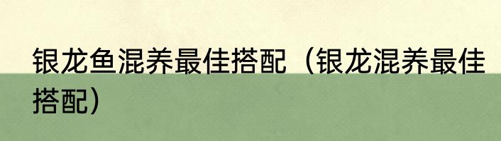 银龙鱼混养最佳搭配（银龙混养最佳搭配）
