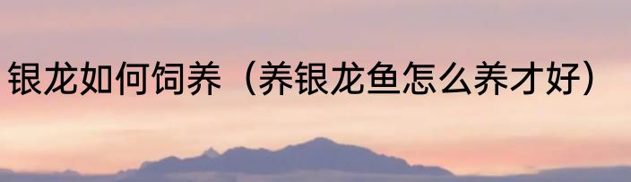 银龙如何饲养（养银龙鱼怎么养才好）