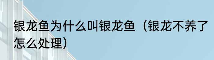 银龙鱼为什么叫银龙鱼（银龙不养了怎么处理）