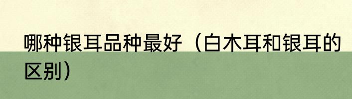 哪种银耳品种最好（白木耳和银耳的区别）