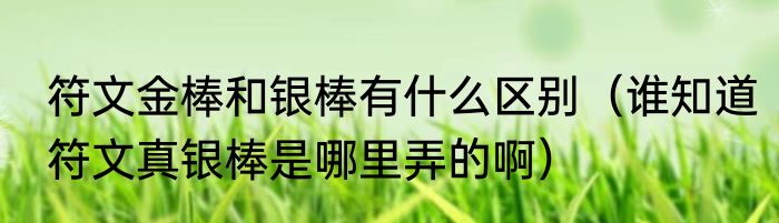 符文金棒和银棒有什么区别（谁知道符文真银棒是哪里弄的啊）