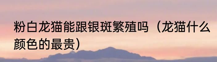 粉白龙猫能跟银斑繁殖吗（龙猫什么颜色的最贵）