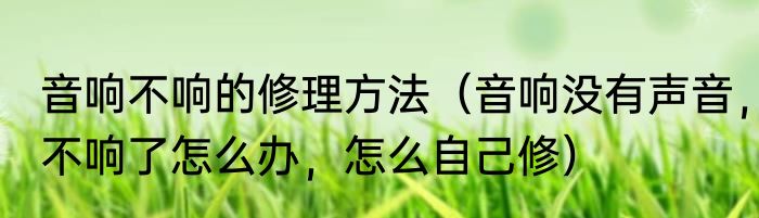 音响不响的修理方法（音响没有声音，不响了怎么办，怎么自己修）