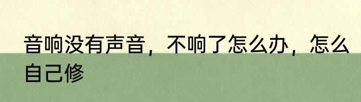 音响没有声音，不响了怎么办，怎么自己修