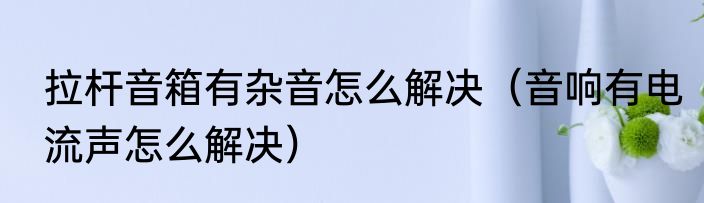 拉杆音箱有杂音怎么解决（音响有电流声怎么解决）