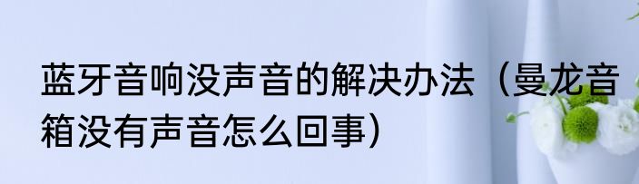 蓝牙音响没声音的解决办法（曼龙音箱没有声音怎么回事）