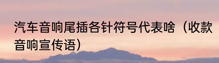 汽车音响尾插各针符号代表啥（收款音响宣传语）