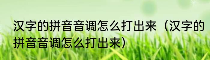 汉字的拼音音调怎么打出来（汉字的拼音音调怎么打出来）