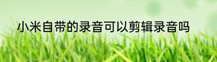 小米自带的录音可以剪辑录音吗