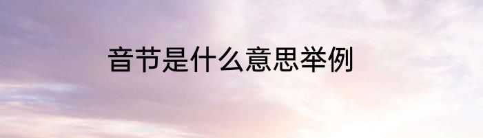 音节是什么意思举例