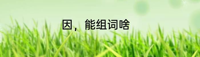 因，能组词啥