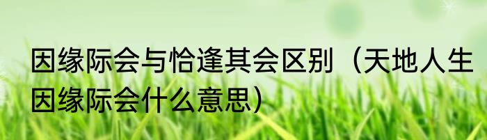 因缘际会与恰逢其会区别（天地人生因缘际会什么意思）