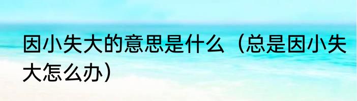 因小失大的意思是什么（总是因小失大怎么办）