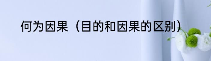 何为因果（目的和因果的区别）