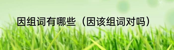 因组词有哪些（因该组词对吗）