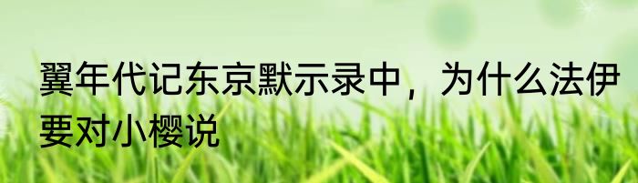 翼年代记东京默示录中，为什么法伊要对小樱说