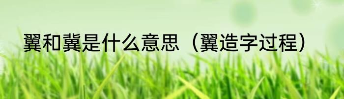 翼和冀是什么意思（翼造字过程）