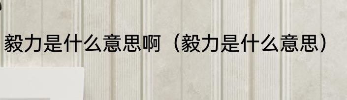 毅力是什么意思啊（毅力是什么意思）