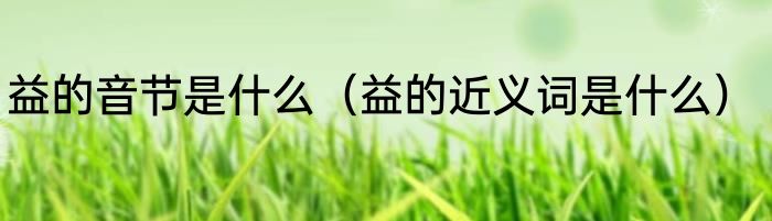 益的音节是什么（益的近义词是什么）