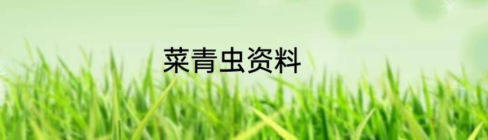 菜青虫资料