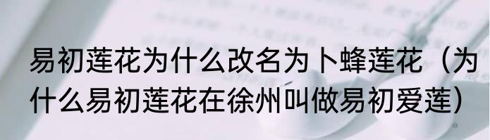 易初莲花为什么改名为卜蜂莲花（为什么易初莲花在徐州叫做易初爱莲）