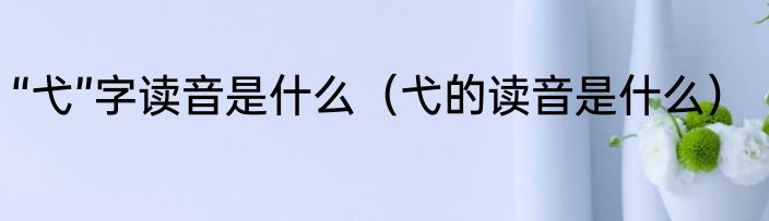 “弋”字读音是什么（弋的读音是什么）