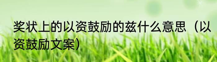 奖状上的以资鼓励的兹什么意思（以资鼓励文案）