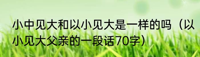 小中见大和以小见大是一样的吗（以小见大父亲的一段话70字）