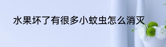 水果坏了有很多小蚊虫怎么消灭