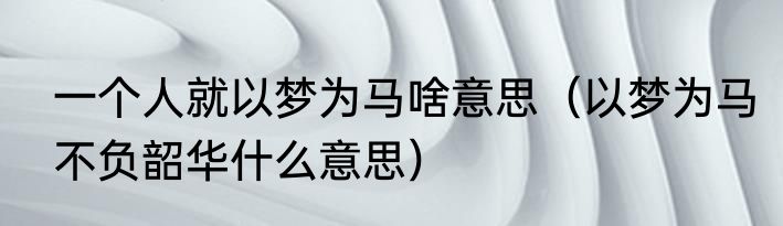 一个人就以梦为马啥意思（以梦为马不负韶华什么意思）