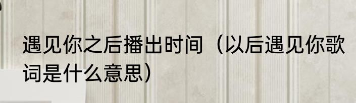 遇见你之后播出时间（以后遇见你歌词是什么意思）