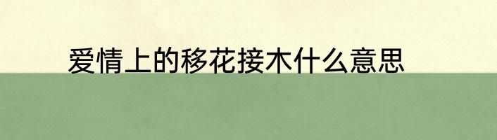 爱情上的移花接木什么意思