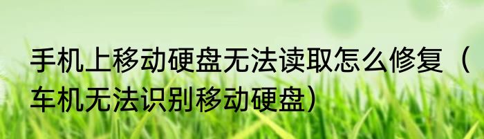 手机上移动硬盘无法读取怎么修复（车机无法识别移动硬盘）