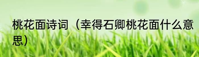 桃花面诗词（幸得石卿桃花面什么意思）
