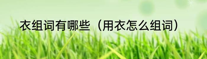 衣组词有哪些（用衣怎么组词）